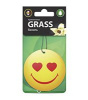 Ароматизатор картонный Grass 