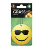 Ароматизатор картонный Grass 